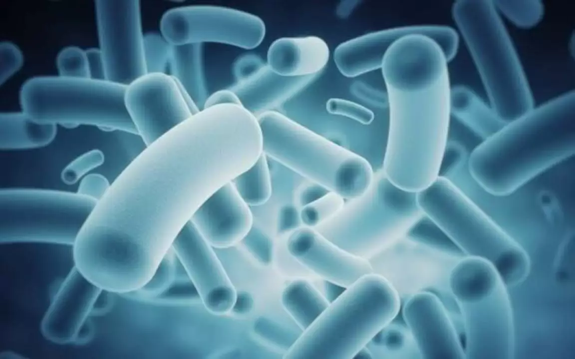Mebendazole and the Microbiome: How Antiparasitic Drugs Affect Gut Health
